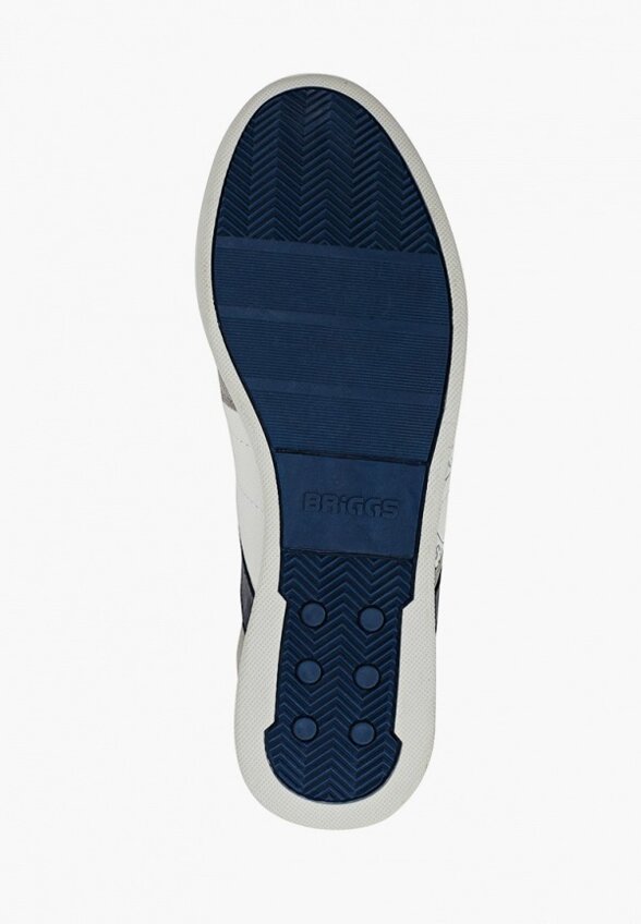 Кроссовки Briggs