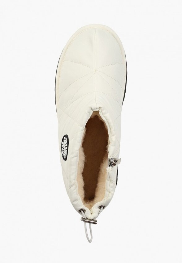 Дутики Ascalini