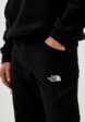 Брюки спортивные The North Face4  - превью