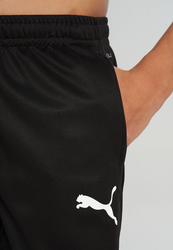 Брюки для мальчиков PUMA Teamgoal, Черный