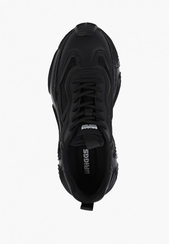 Кроссовки Briggs