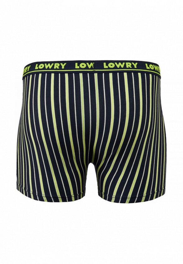 Трусы Lowry Collection