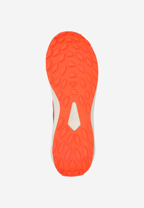 Кроссовки мужские Salomon Alphaglide, Черный