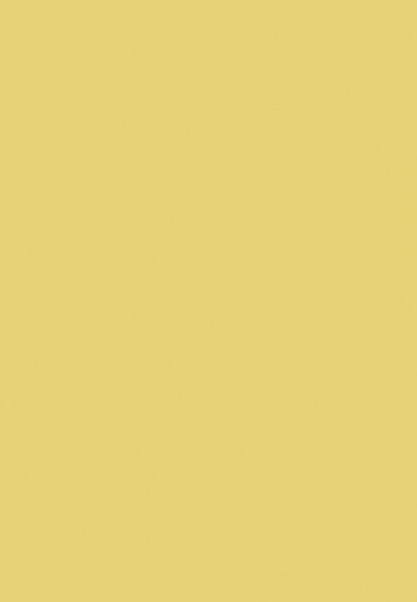 Жидкие тени для век Shik