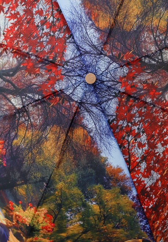 Зонт складной Trust