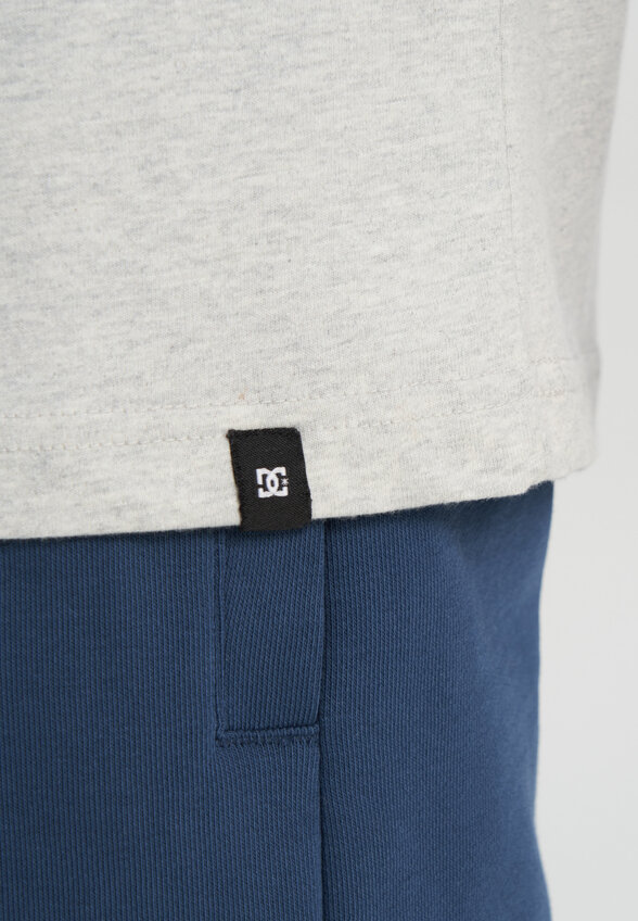 Футболка мужская DC Shoes Elective, Серый