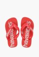 Сланцы Havaianas4  - превью