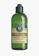 Шампунь L'Occitane1  - превью