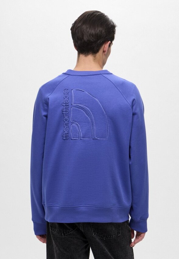 Свитшот The North Face
