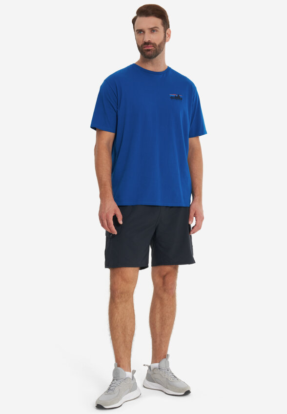 Футболка мужская Patagonia Skyline Organic, Синий