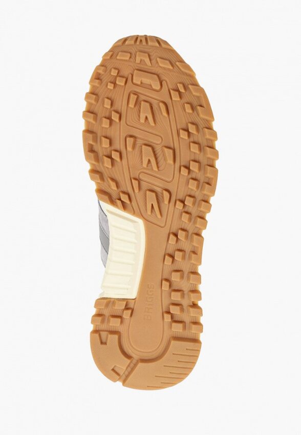 Кроссовки Briggs