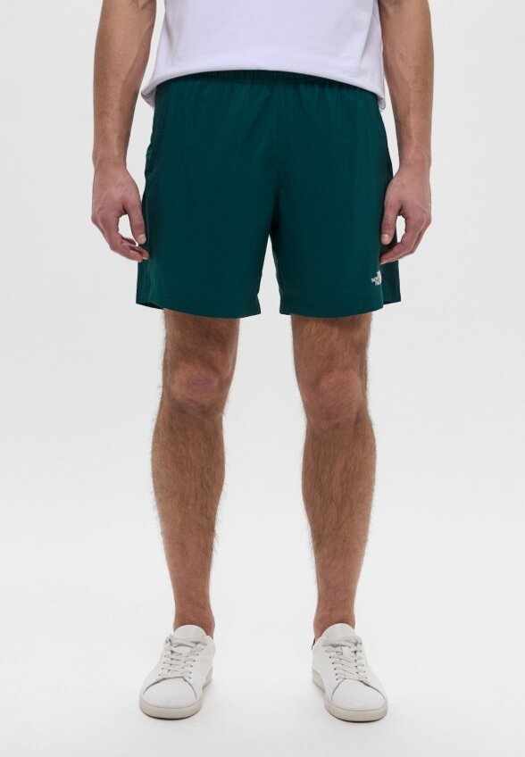 Шорты спортивные The North Face