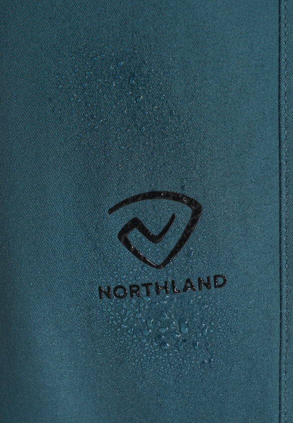 Брюки мужские Northland, Зеленый