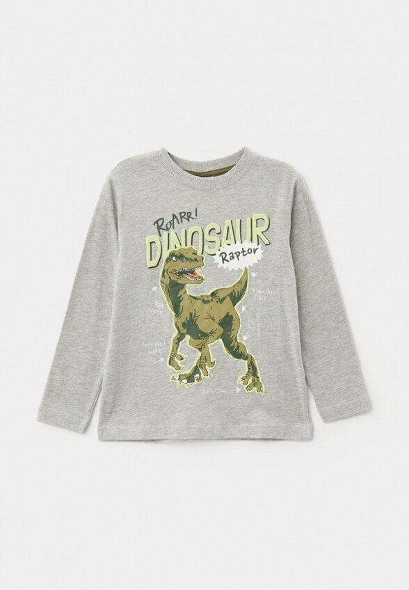 Лонгслив Terranova