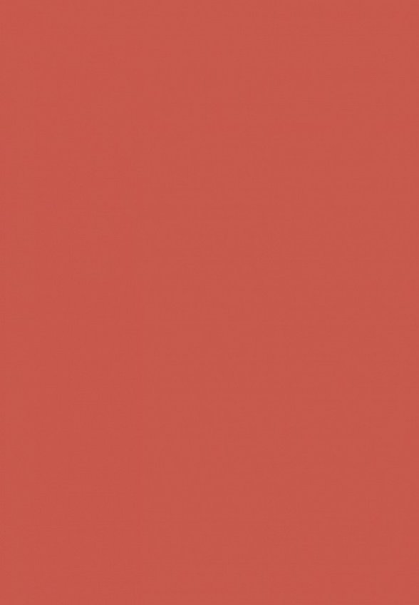 Помада жидкая Nouba