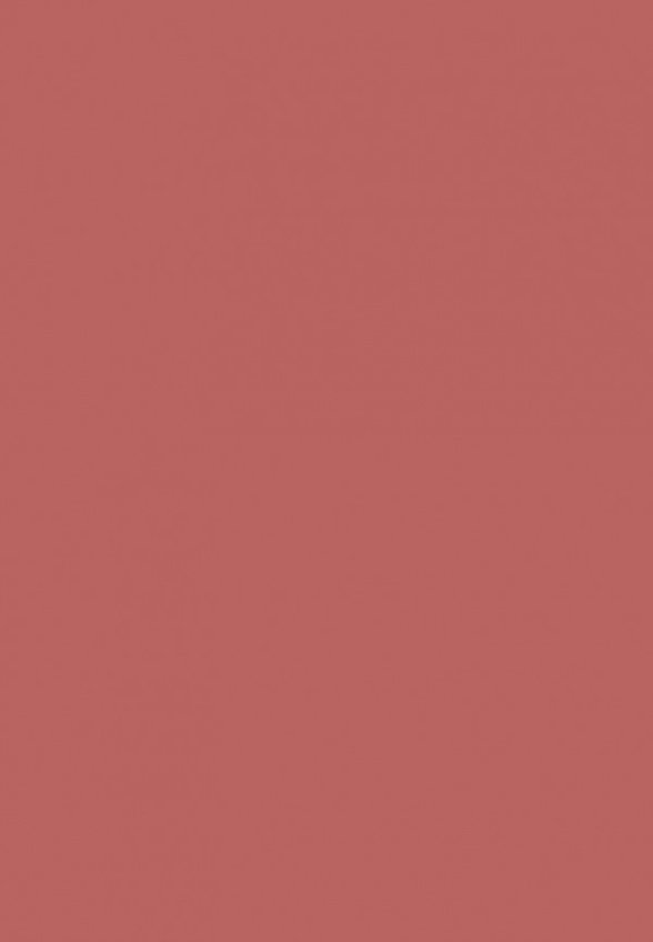 Помада жидкая Stellary