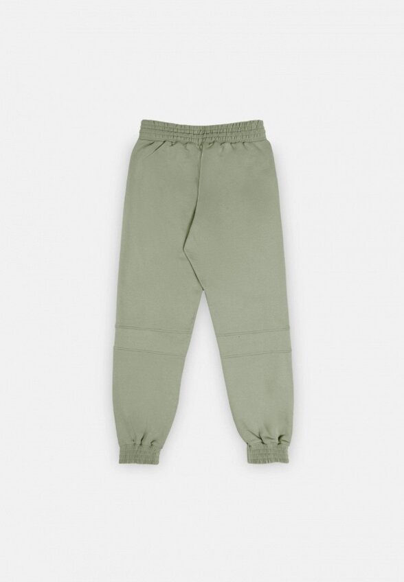 Брюки спортивные Индивид