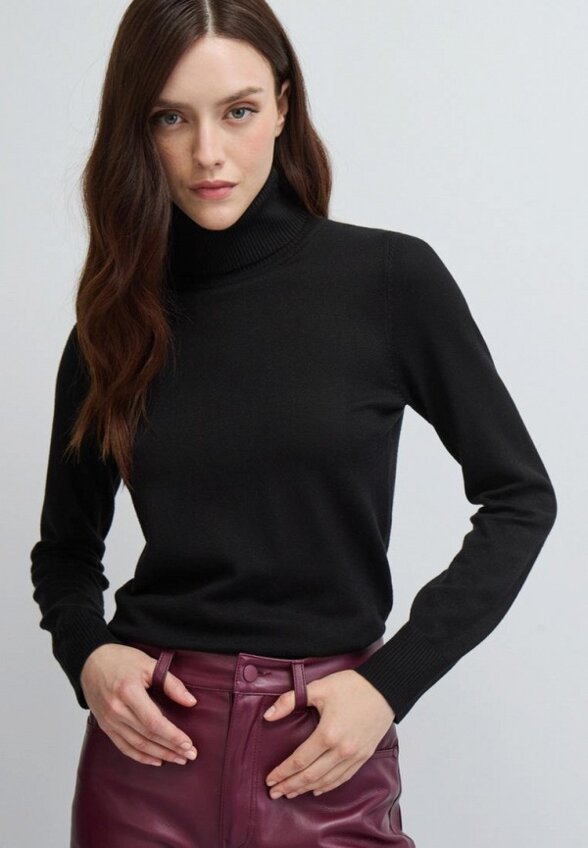 Водолазка Vittoria Vicci