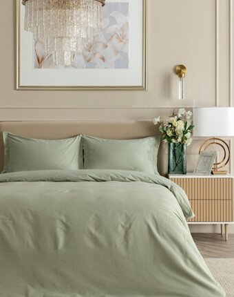 Постельное белье 2-спальное Cozy Home мужчинам