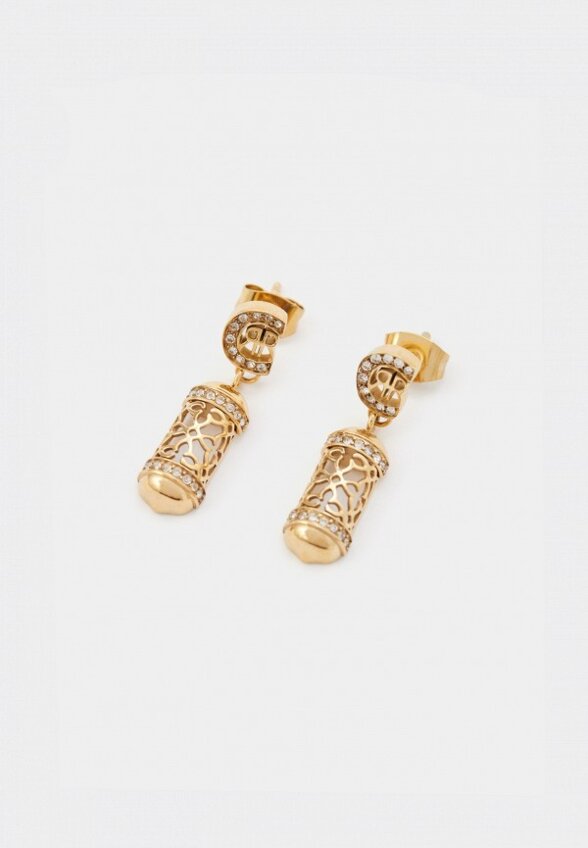 Серьги Cerruti 1881