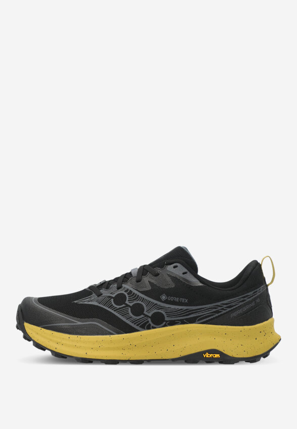 Кроссовки мужские Saucony Peregrine 16 Gtx, Черный