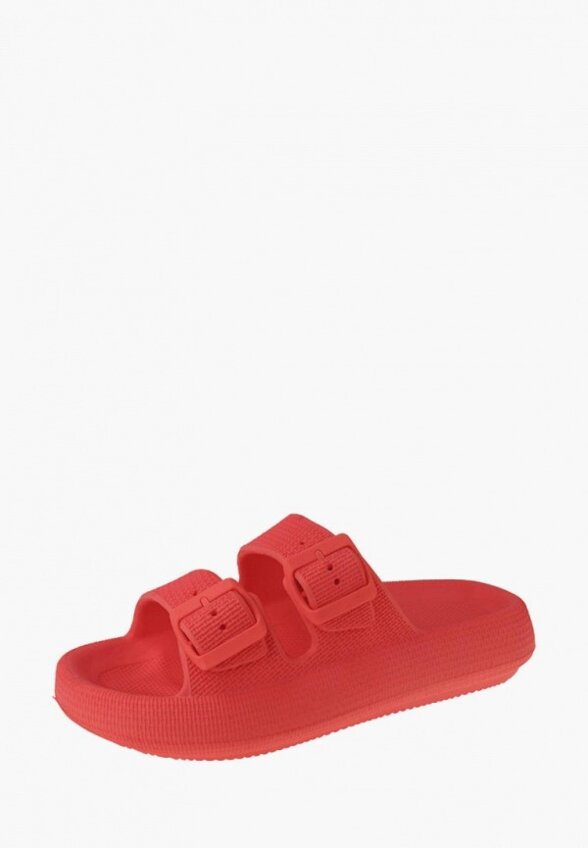 Сланцы De Fonseca