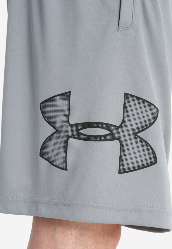 Шорты мужские Under Armour, Серый