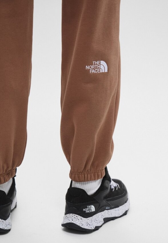 Брюки спортивные The North Face