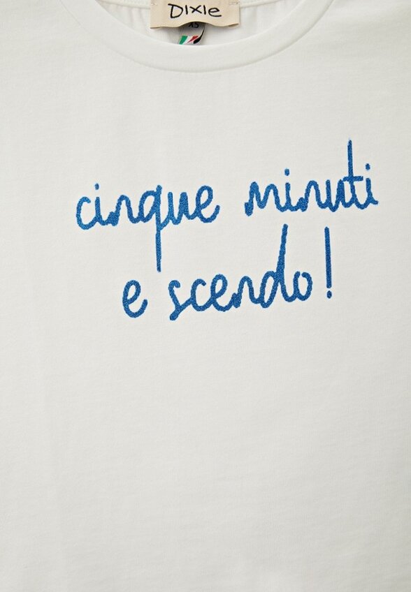 Футболка Dixie