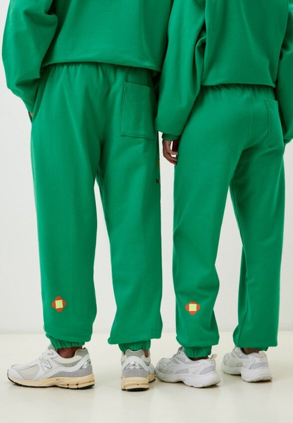 Брюки спортивные The North Face