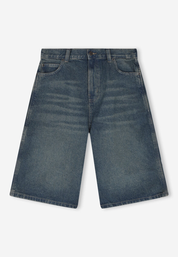 Шорты мужские DICKIES 13 Inch Loose, Синий