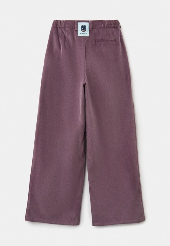 Брюки Ad Astra Lab