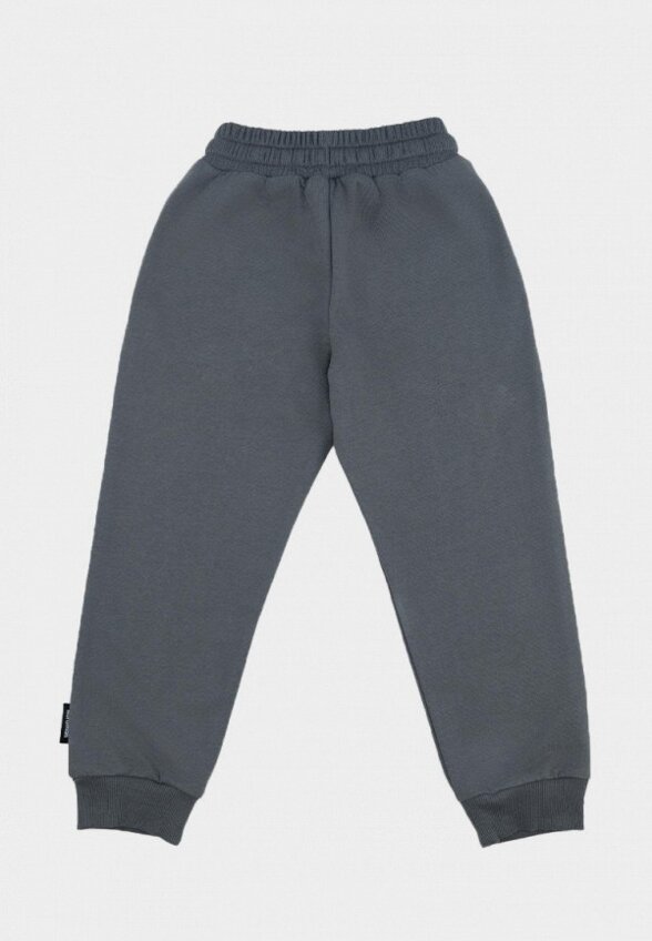 Брюки спортивные Nordman