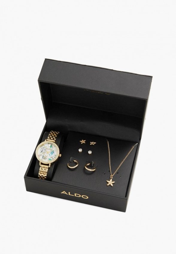 Часы, колье и серьги 3 пары Aldo