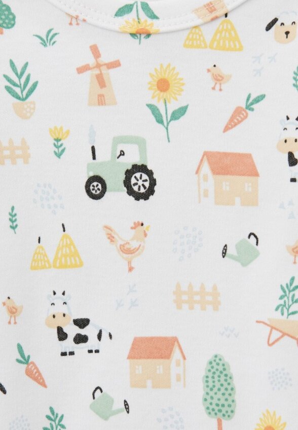 Боди 3 шт. Carrot