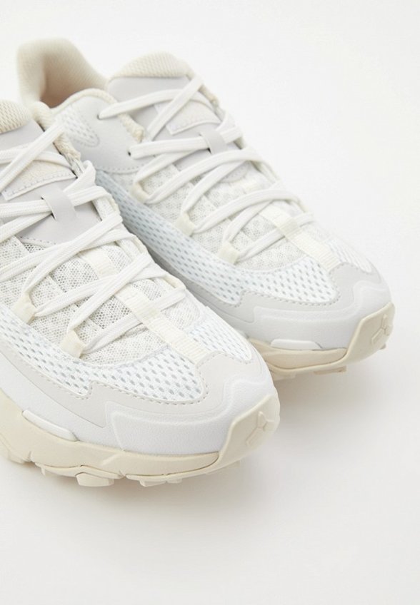 Кроссовки The North Face