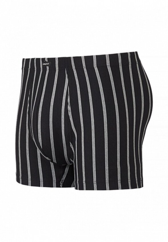 Трусы Lowry Collection