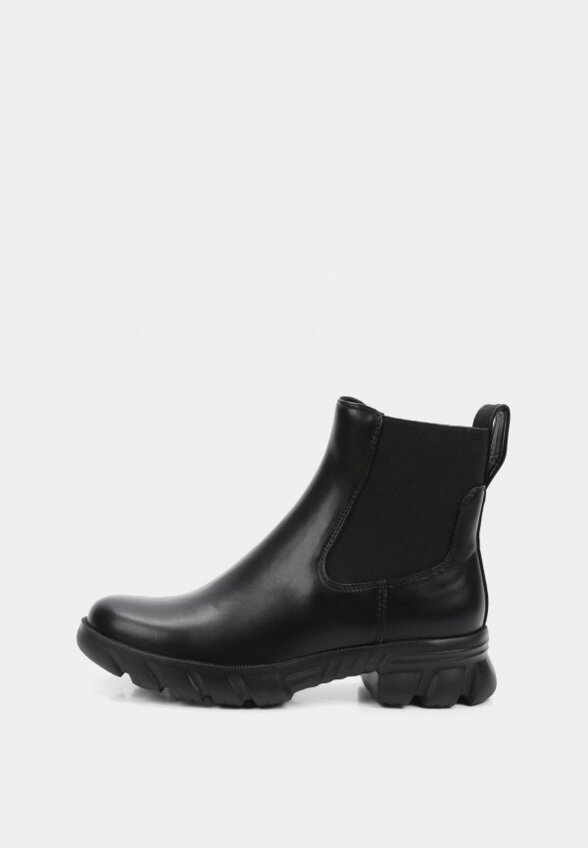 Ботинки T.Taccardi