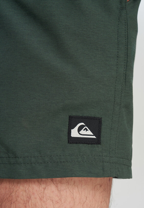 Шорты плавательные мужские Quiksilver Everyday Volley 15, Зеленый