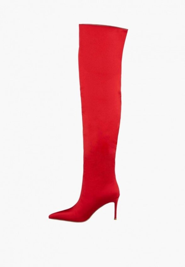 Ботфорты Raden