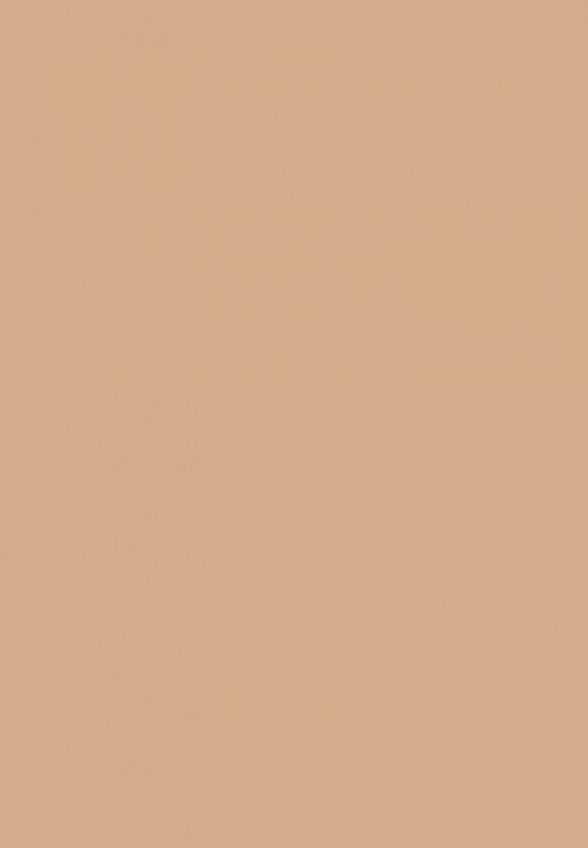 Пудра компактная Focallure