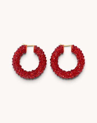 Celine Earrings женщинам