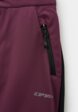 Брюки спортивные Icepeak3  - превью