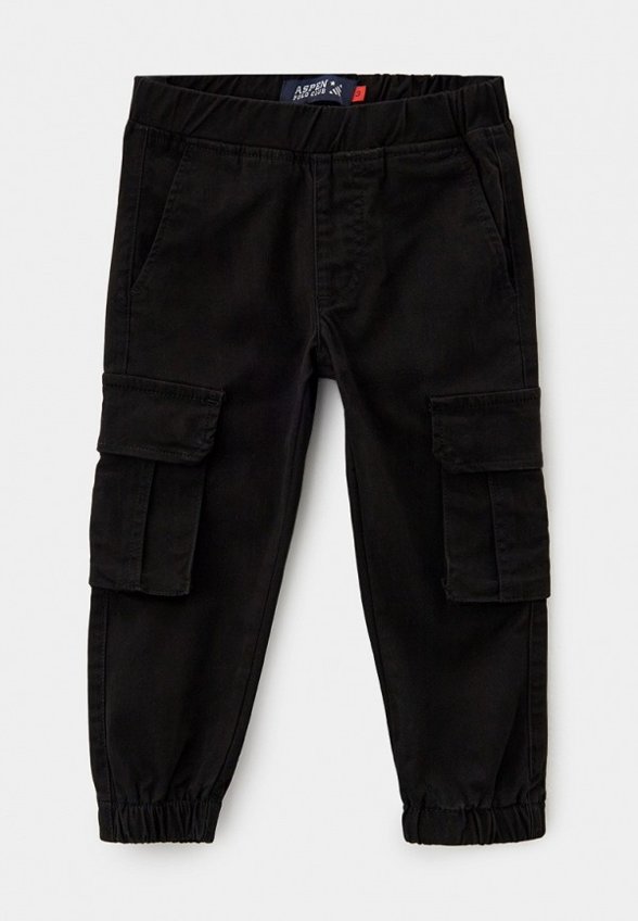 Брюки Aspen Polo Club