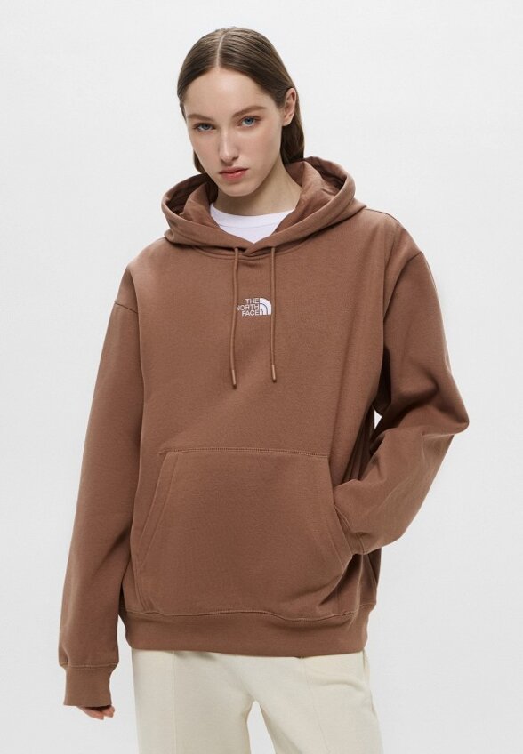 Худи The North Face