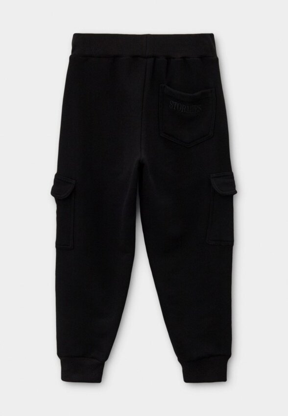Брюки спортивные Stormies