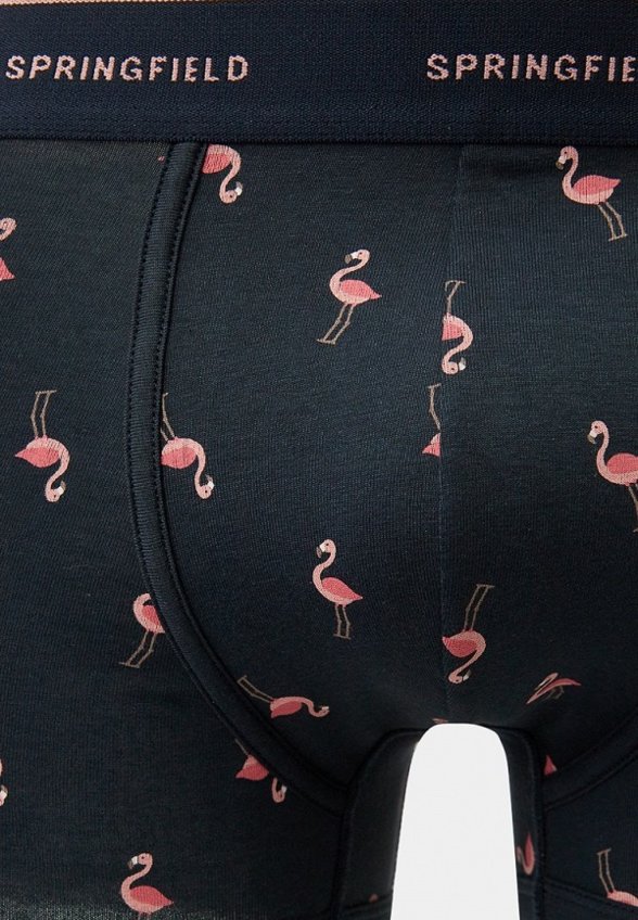 Трусы 3 шт. Springfield