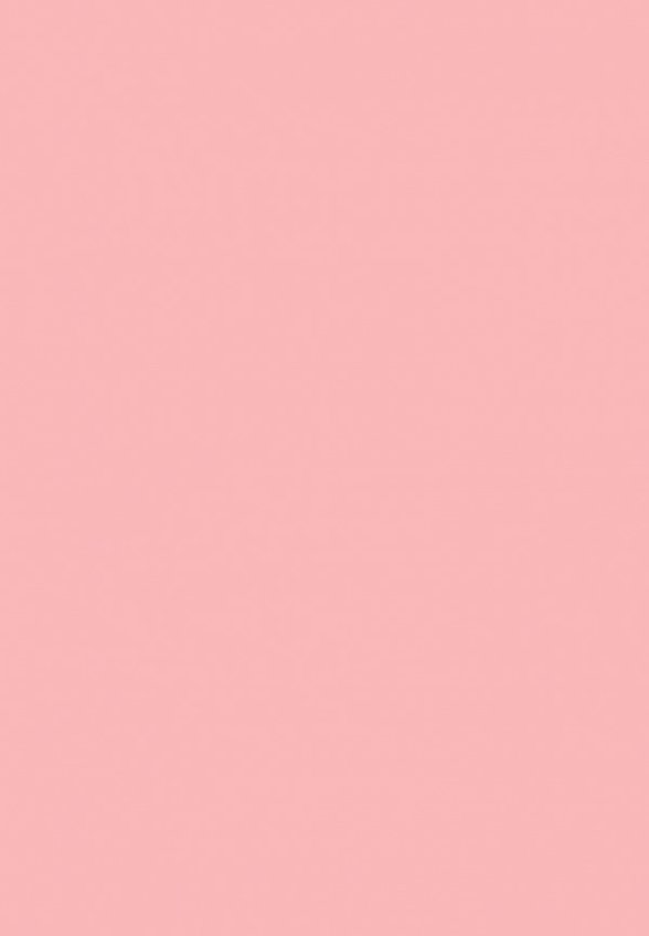 Румяна Revolution