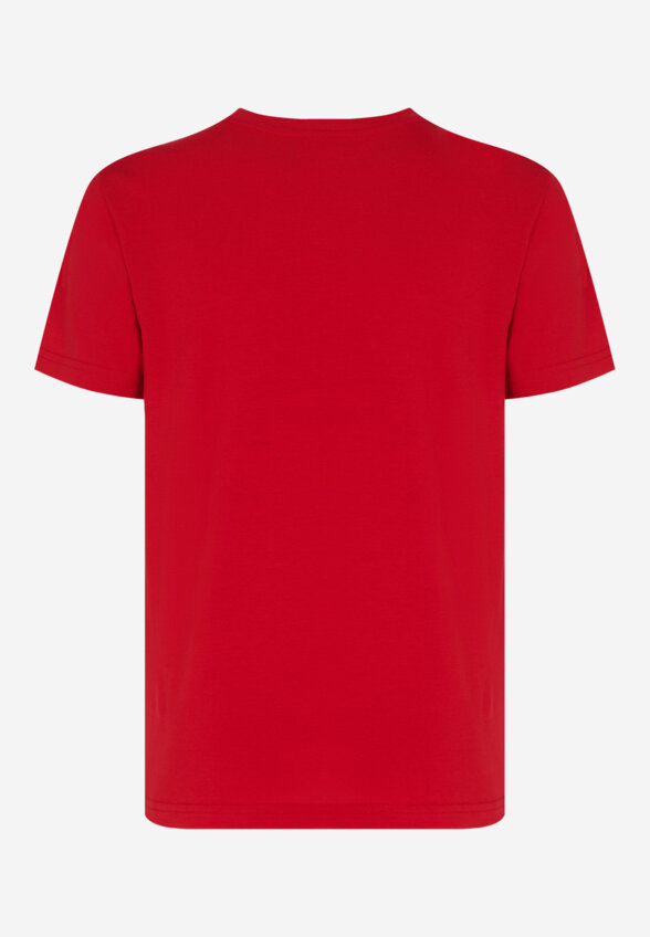 Футболка для мальчиков Champion, Красный