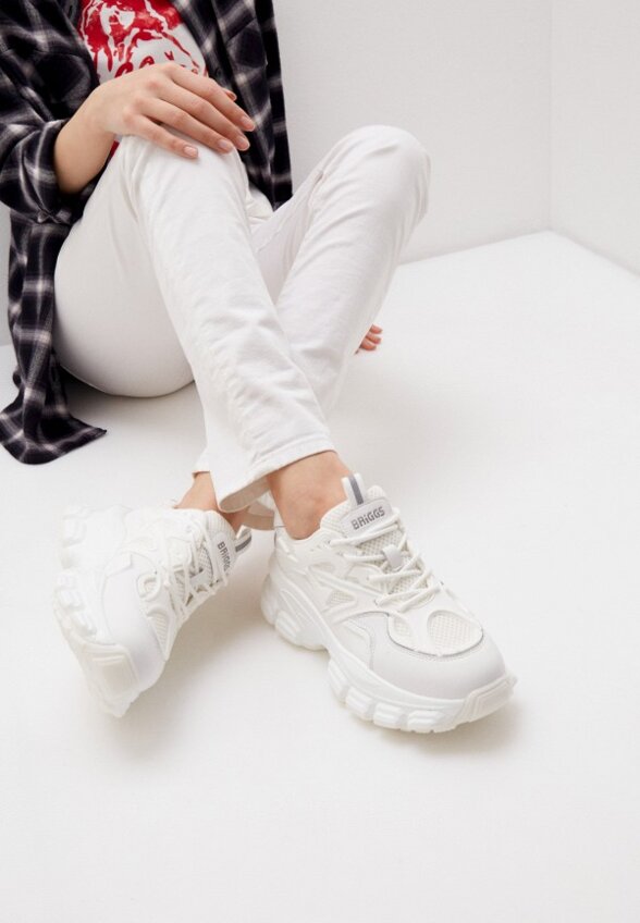 Кроссовки Briggs